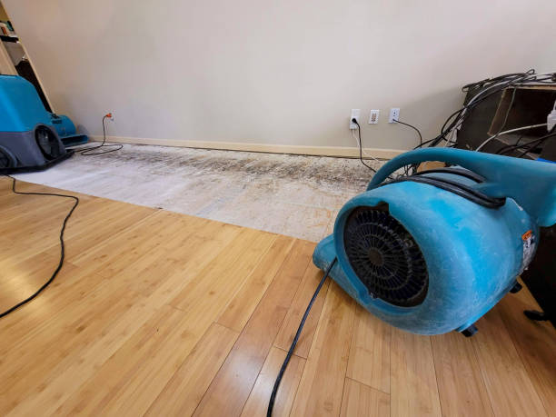 Professional Sewage Cleanup technician working in Randle, WA